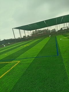 cancha 2.1